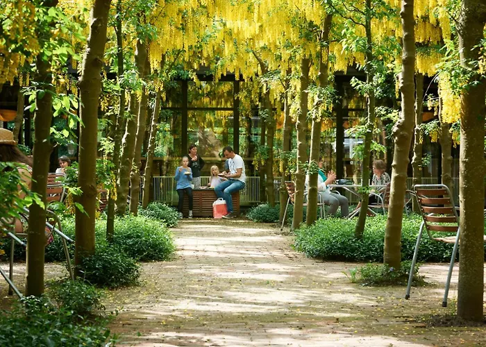 胡塞特米泽尔法特酒店 米泽尔法特