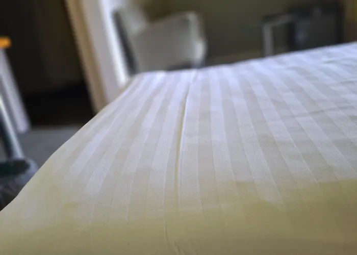 胡塞特米泽尔法特酒店 3* 米泽尔法特