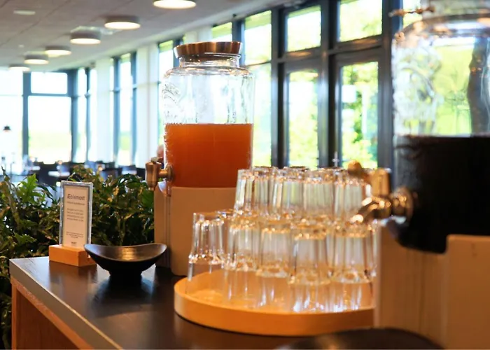 胡塞特米泽尔法特酒店 酒店