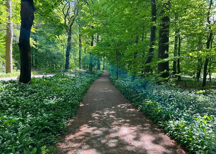 酒店 胡塞特米泽尔法特酒店 3*