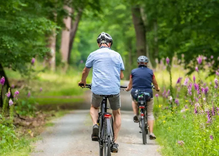 胡塞特米泽尔法特酒店 酒店