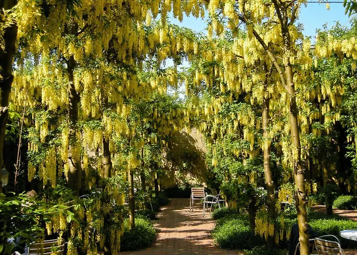 胡塞特米泽尔法特酒店 3* 米泽尔法特