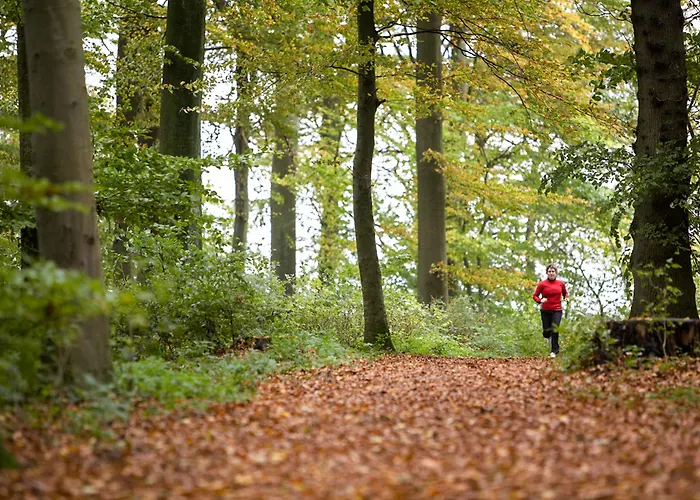 酒店 胡塞特米泽尔法特酒店 米泽尔法特