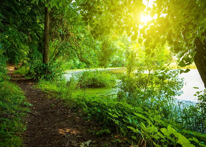 胡塞特米泽尔法特酒店 3*